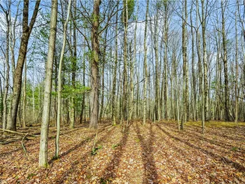 Property at L13 Deer Path, Jefferson, NY 12167