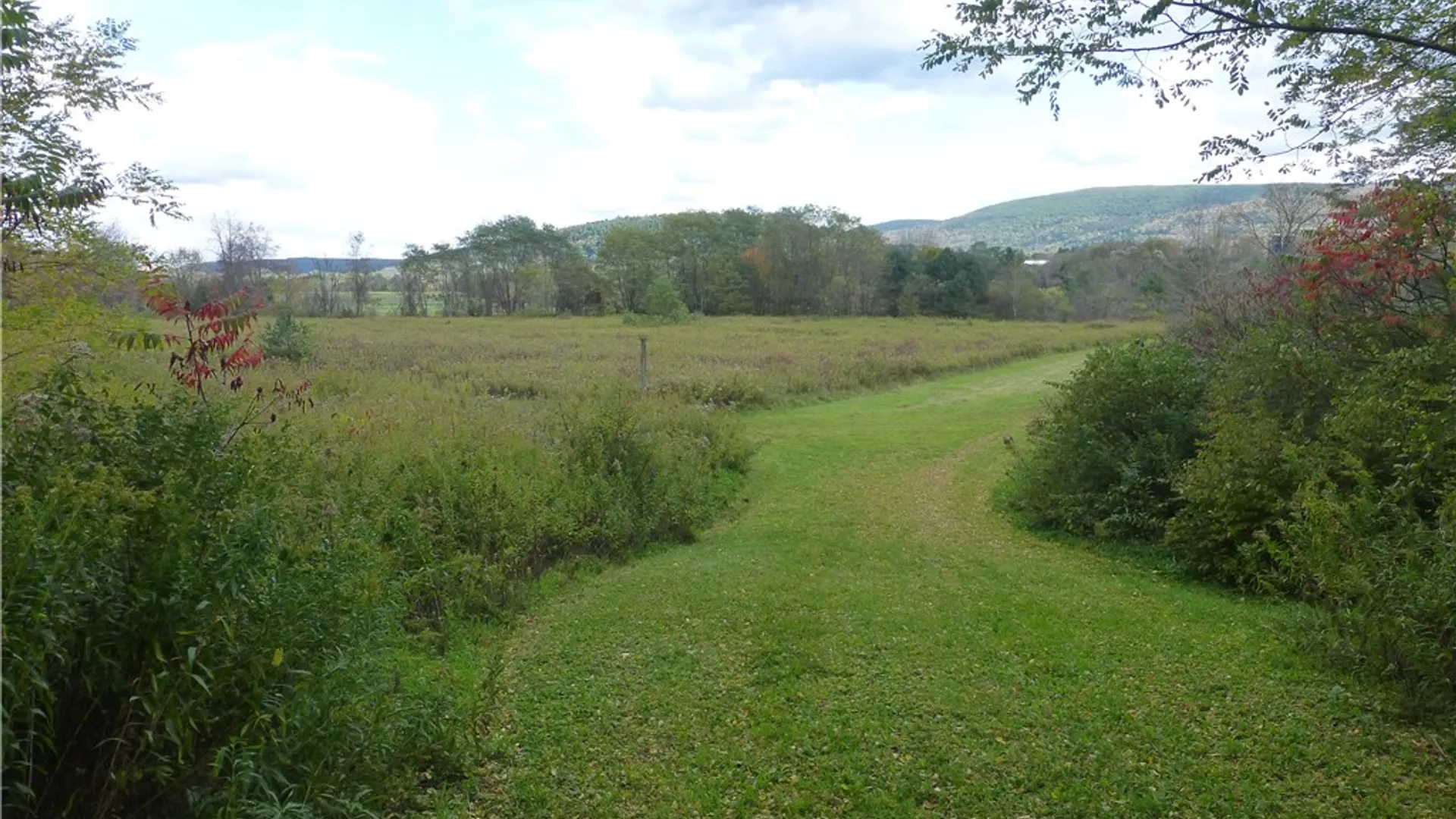 Property at 4740 State Highway 28, Hartwick, NY 13326 9