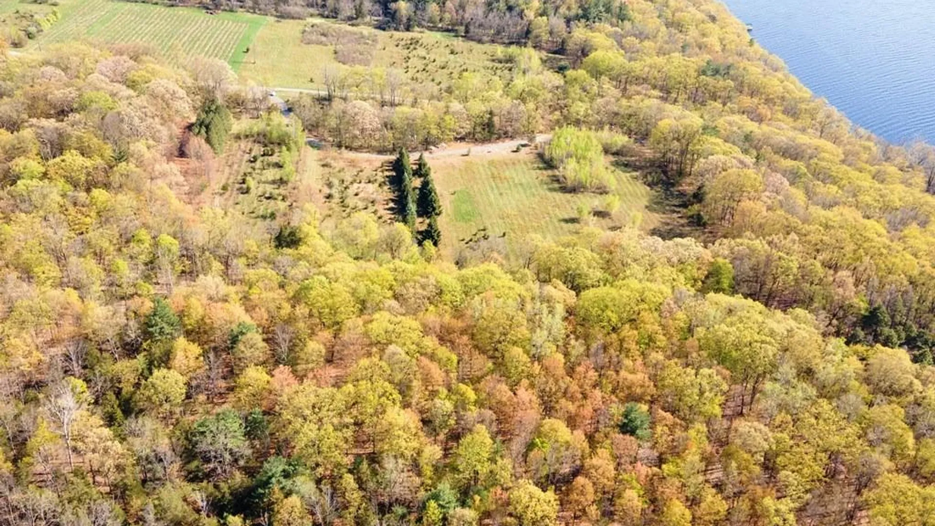 Property at 0 Lot B Sutphen Road, Hector, NY 14818 2