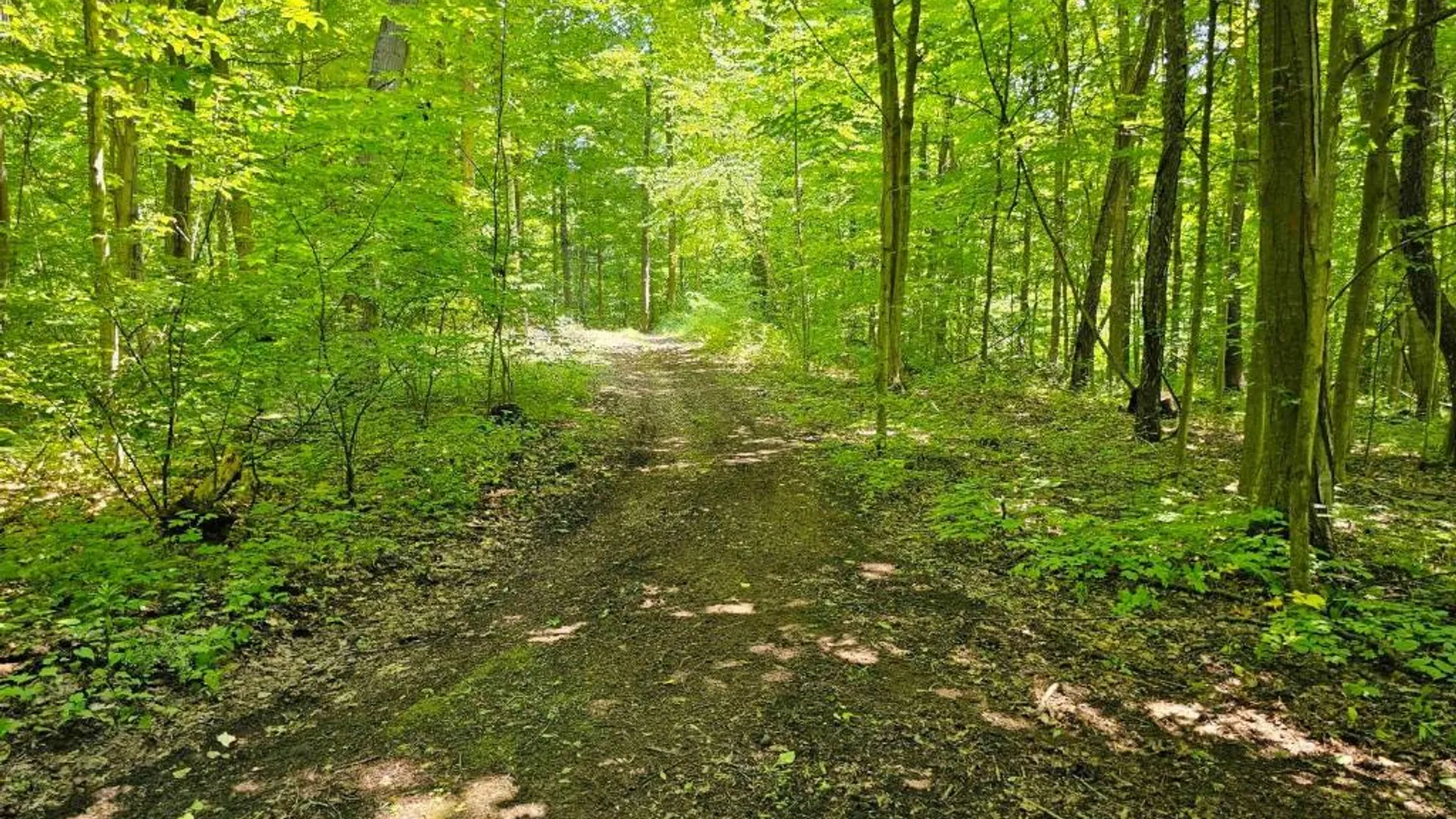 Property at 0 Lake Bluff Road, Huron, NY 14516 19