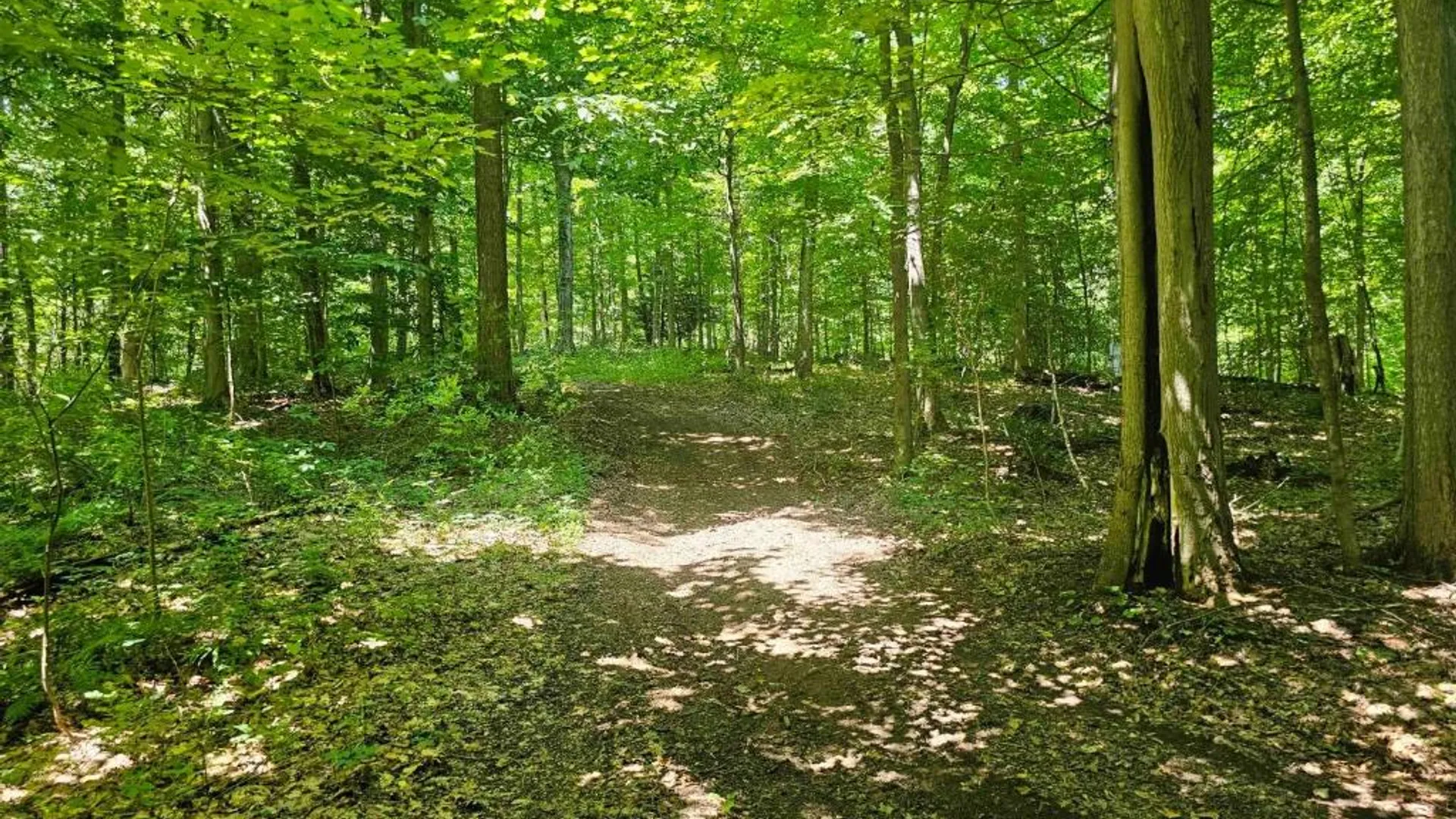 Property at 0 Lake Bluff Road, Huron, NY 14516 29