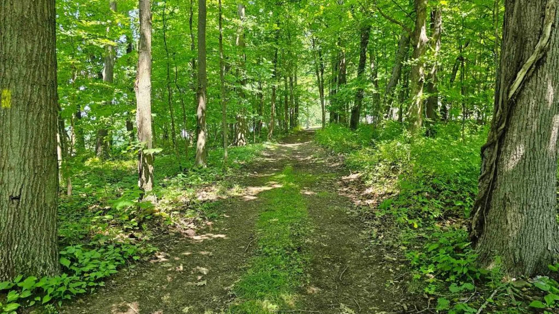 Property at 0 Lake Bluff Road, Huron, NY 14516 33