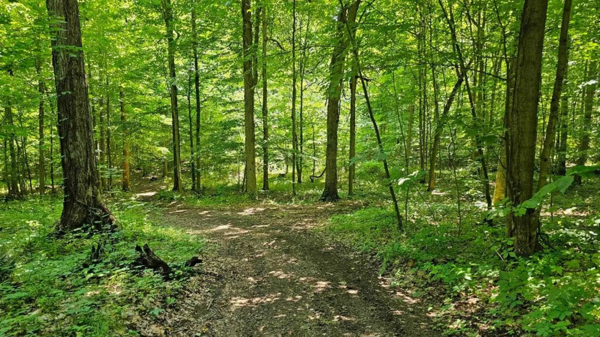 Property at 0 Lake Bluff Road, Huron, NY 14516 35