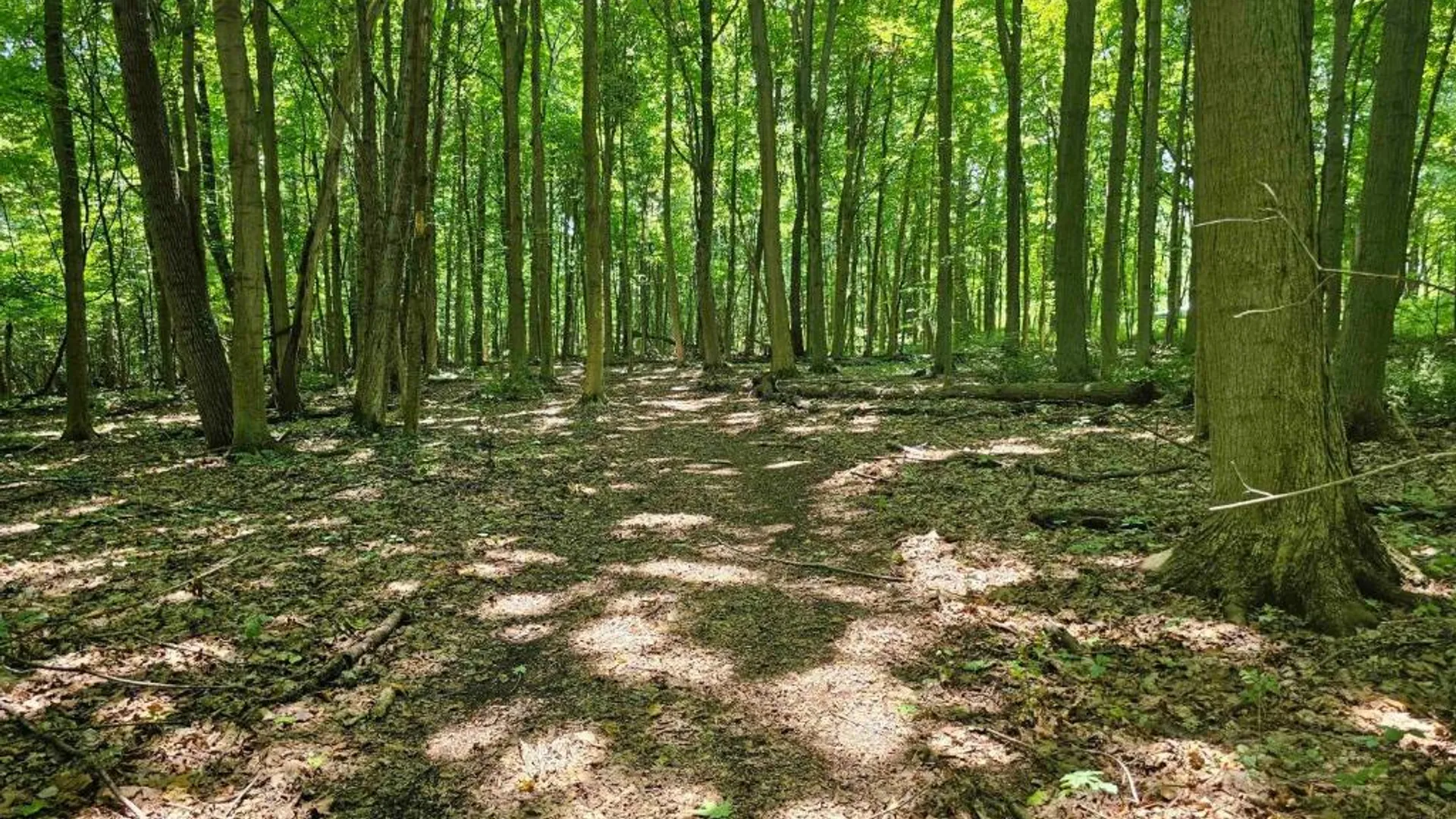 Property at 0 Lake Bluff Road, Huron, NY 14516 4