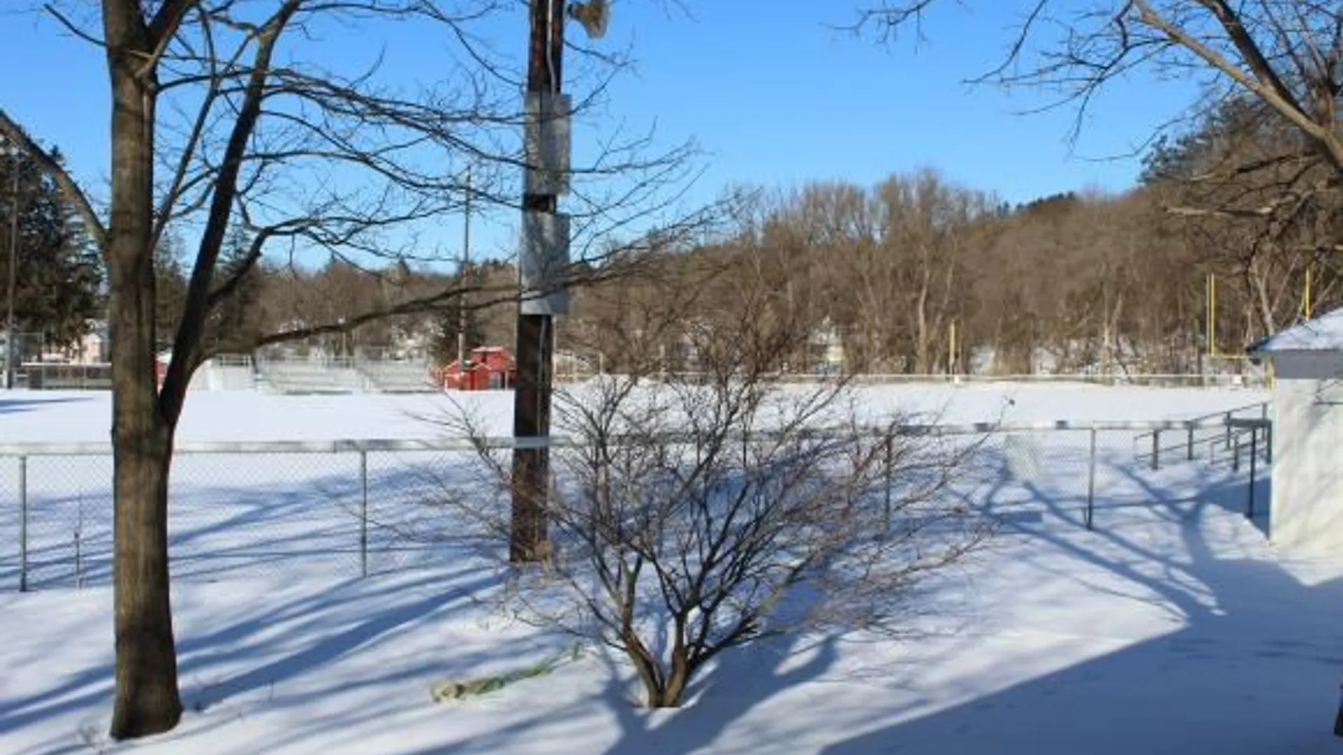 Property at 107 Dewey Avenue, Groton, NY 13073 18