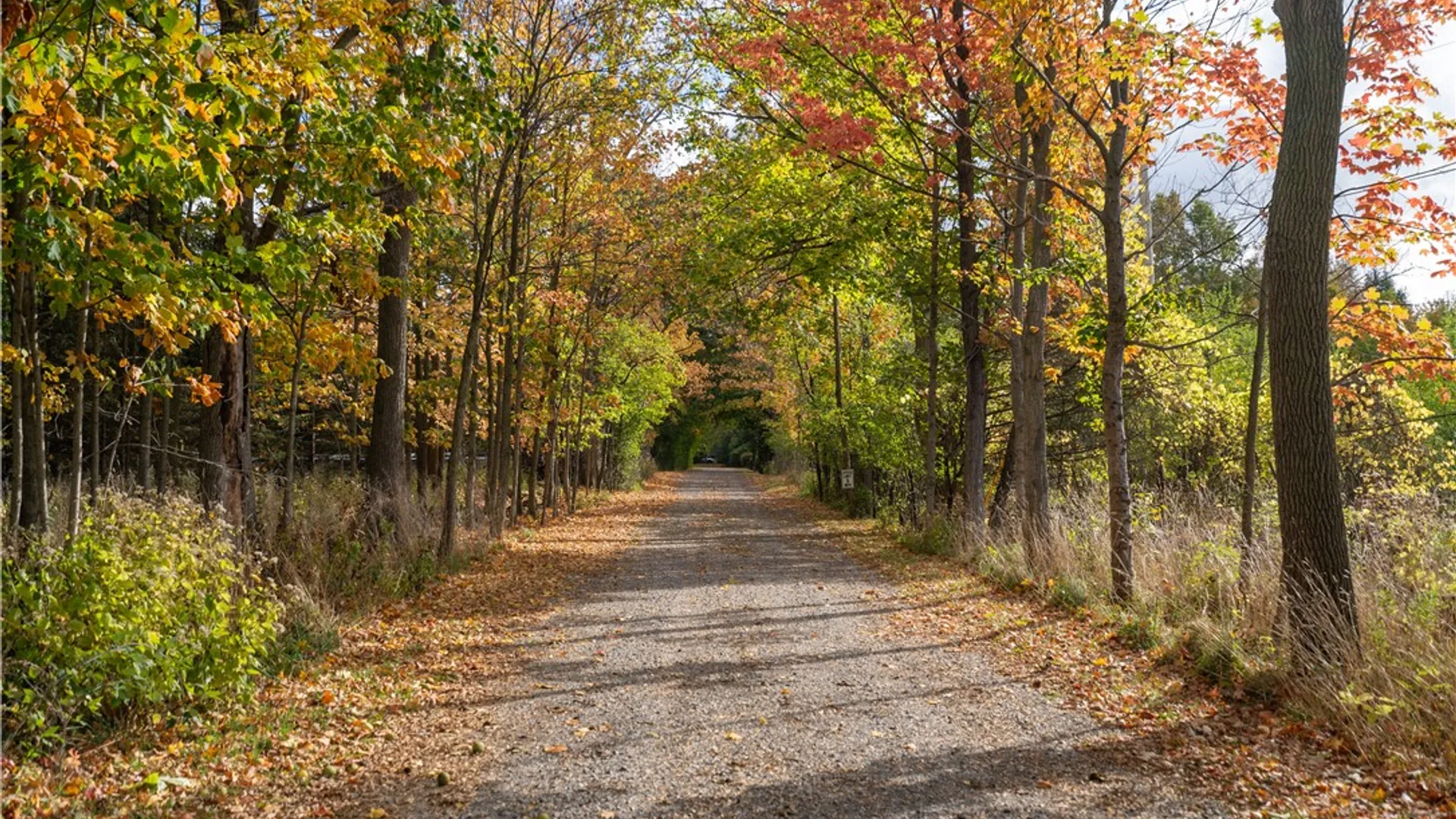 Property at 1866 Wheatland Center Road, Wheatland, NY 14546 3