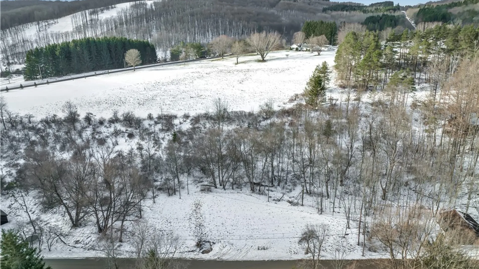 Property at 00 Hencoop Hollow Road, Mansfield, NY 14731 2