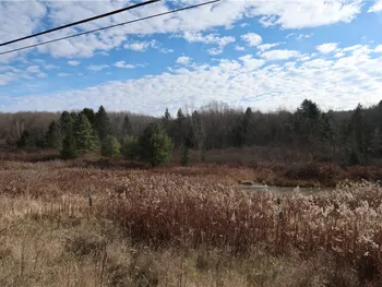 Property at 0 County Road 35, Oxford, NY 13830