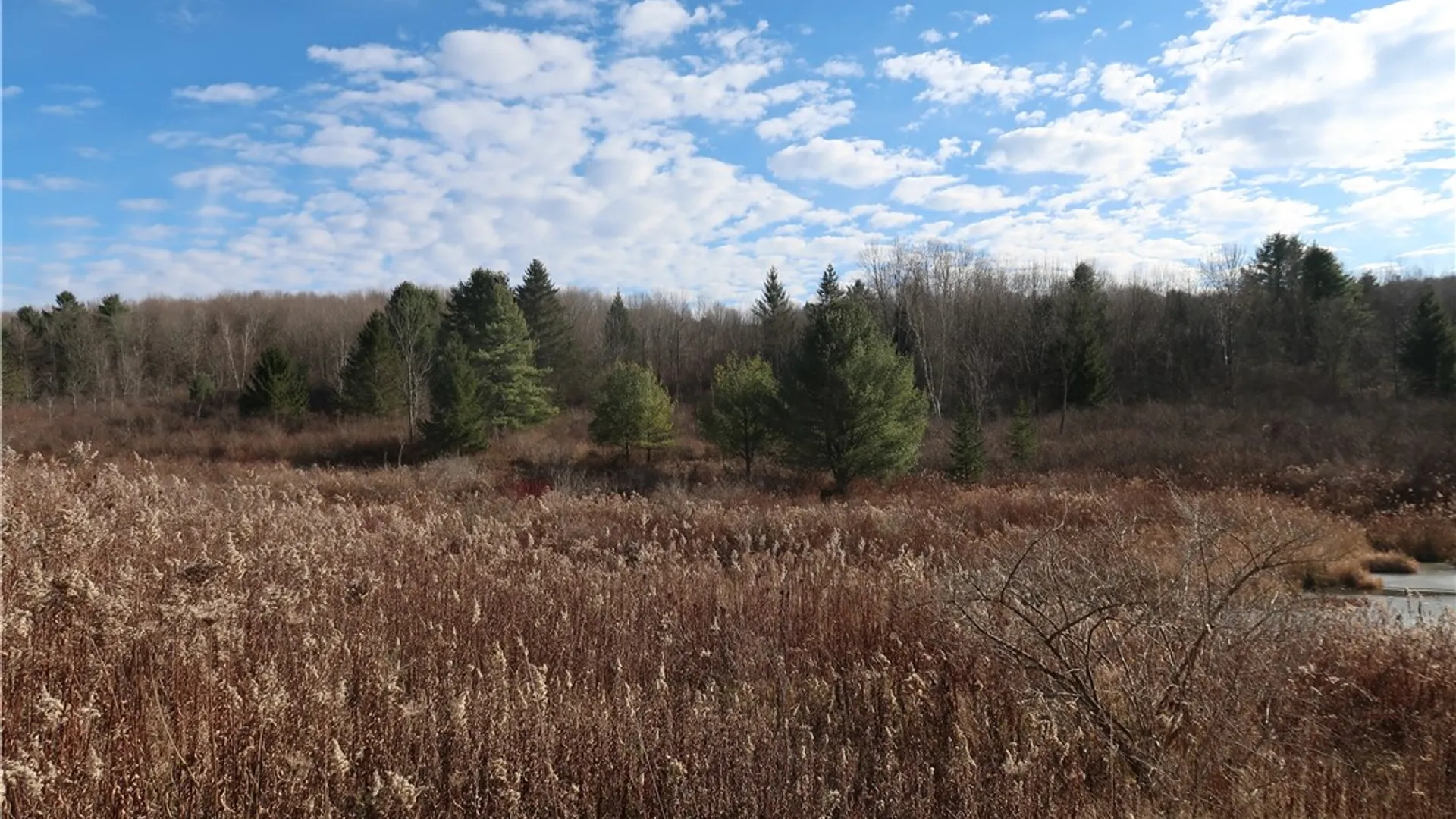 Property at 0 County Road 35, Oxford, NY 13830 2