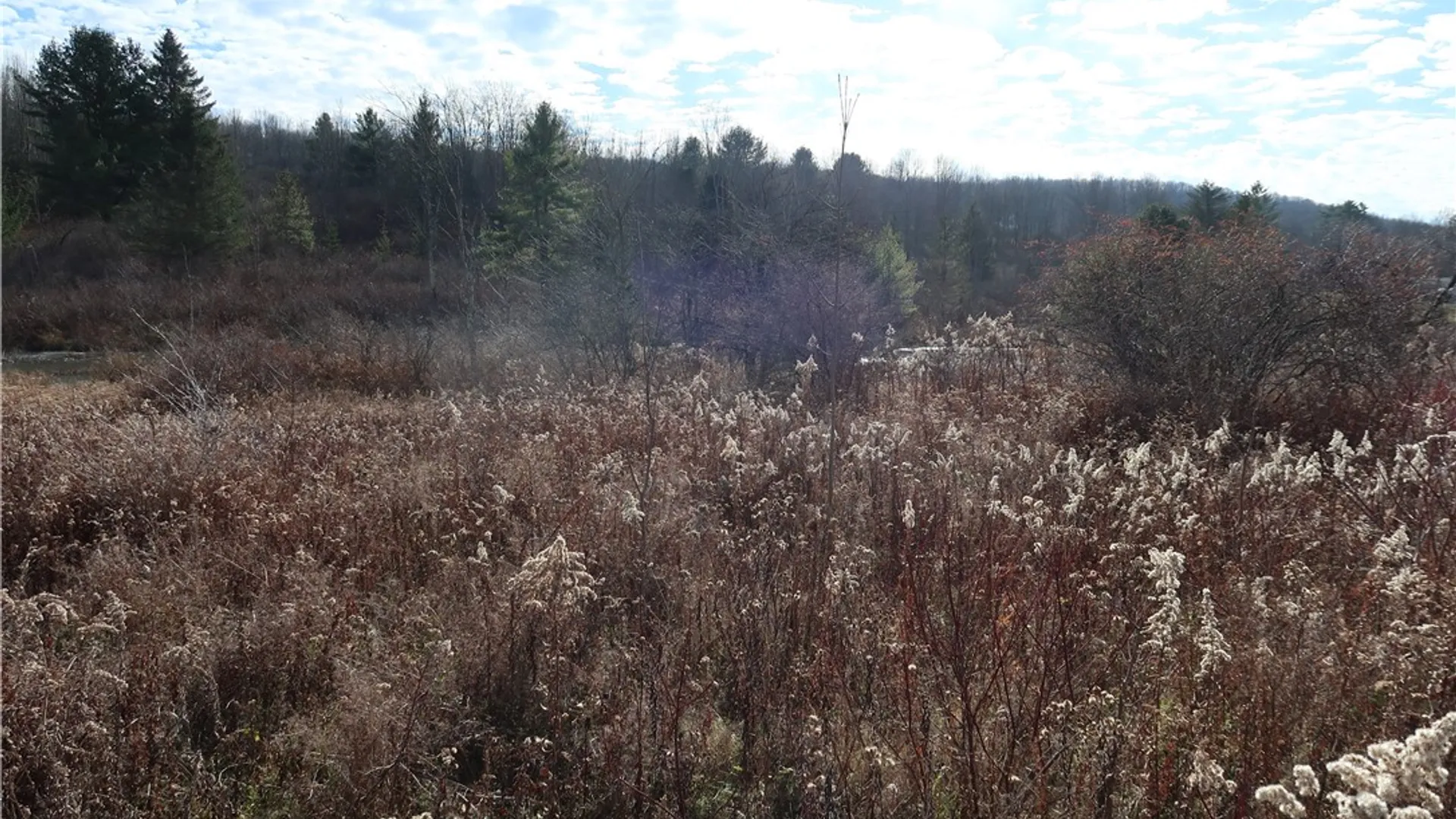 Property at 0 County Road 35, Oxford, NY 13830 3