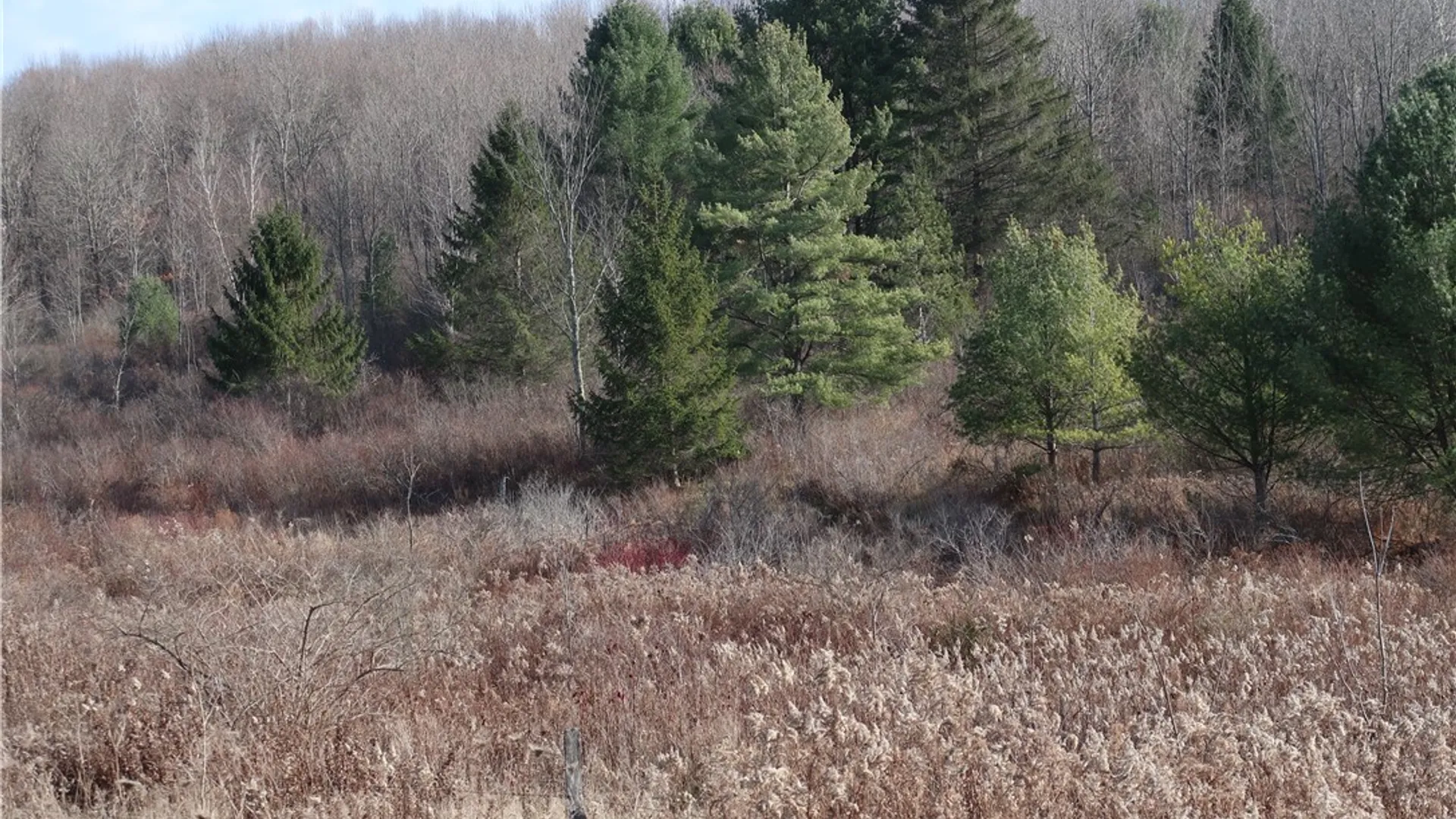Property at 0 County Road 35, Oxford, NY 13830 4