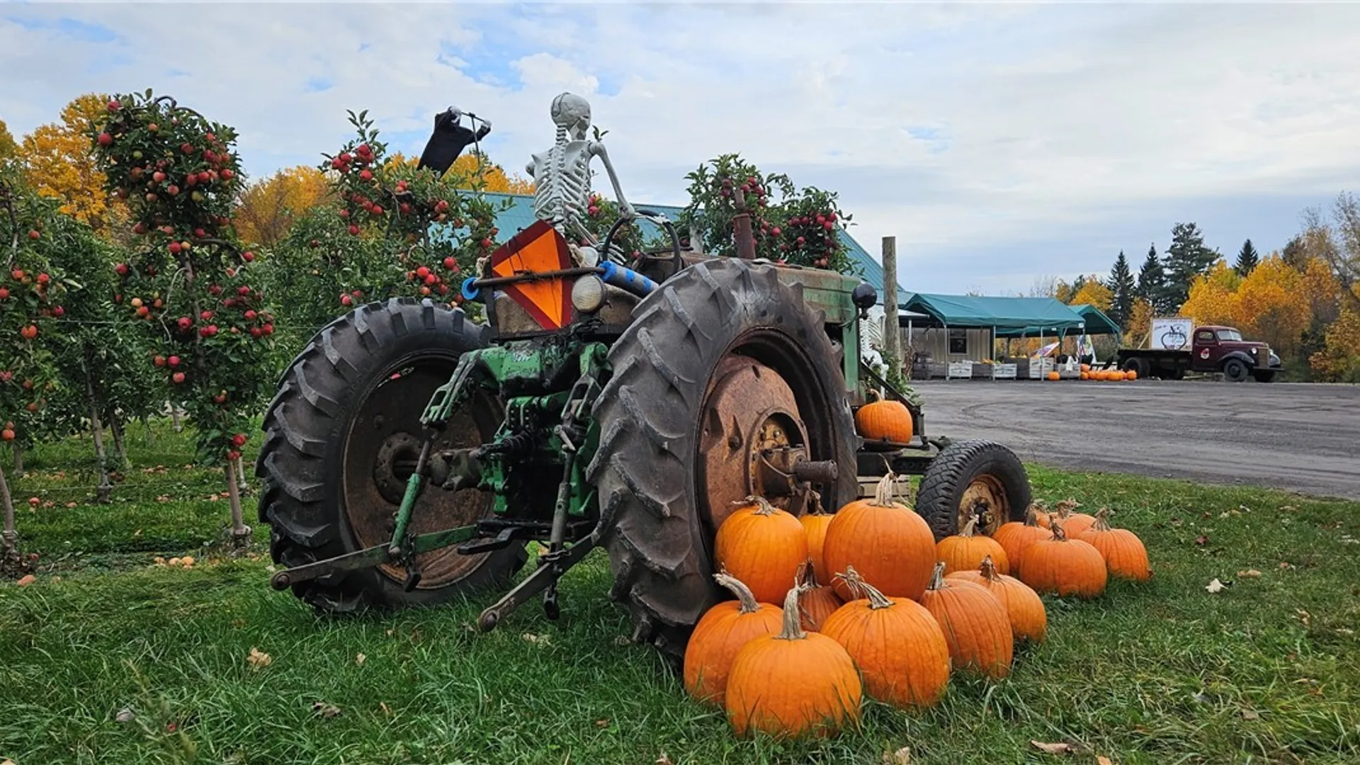 Property at 0 Norris & Rt 104 Road, Huron, NY 14590 18