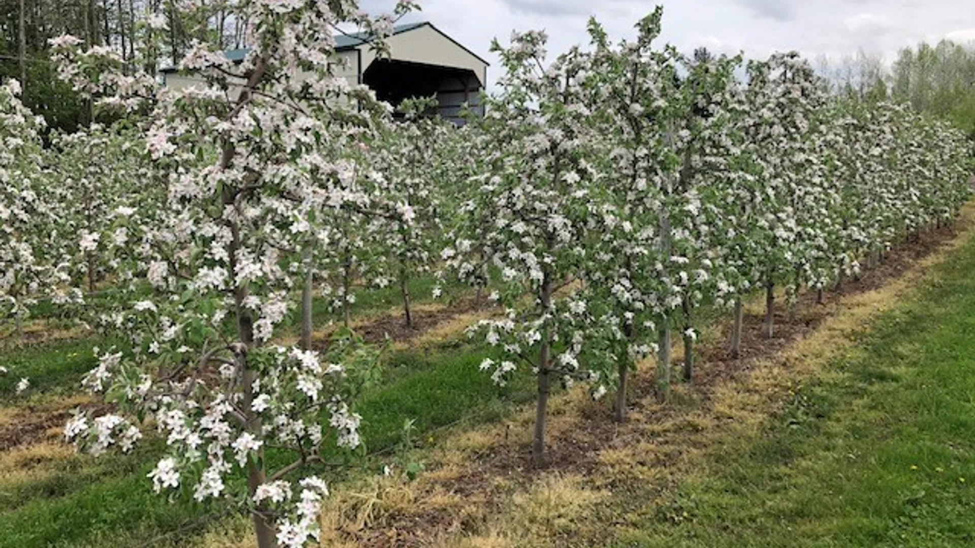 Property at 0 Norris & Rt 104 Road, Huron, NY 14590 22