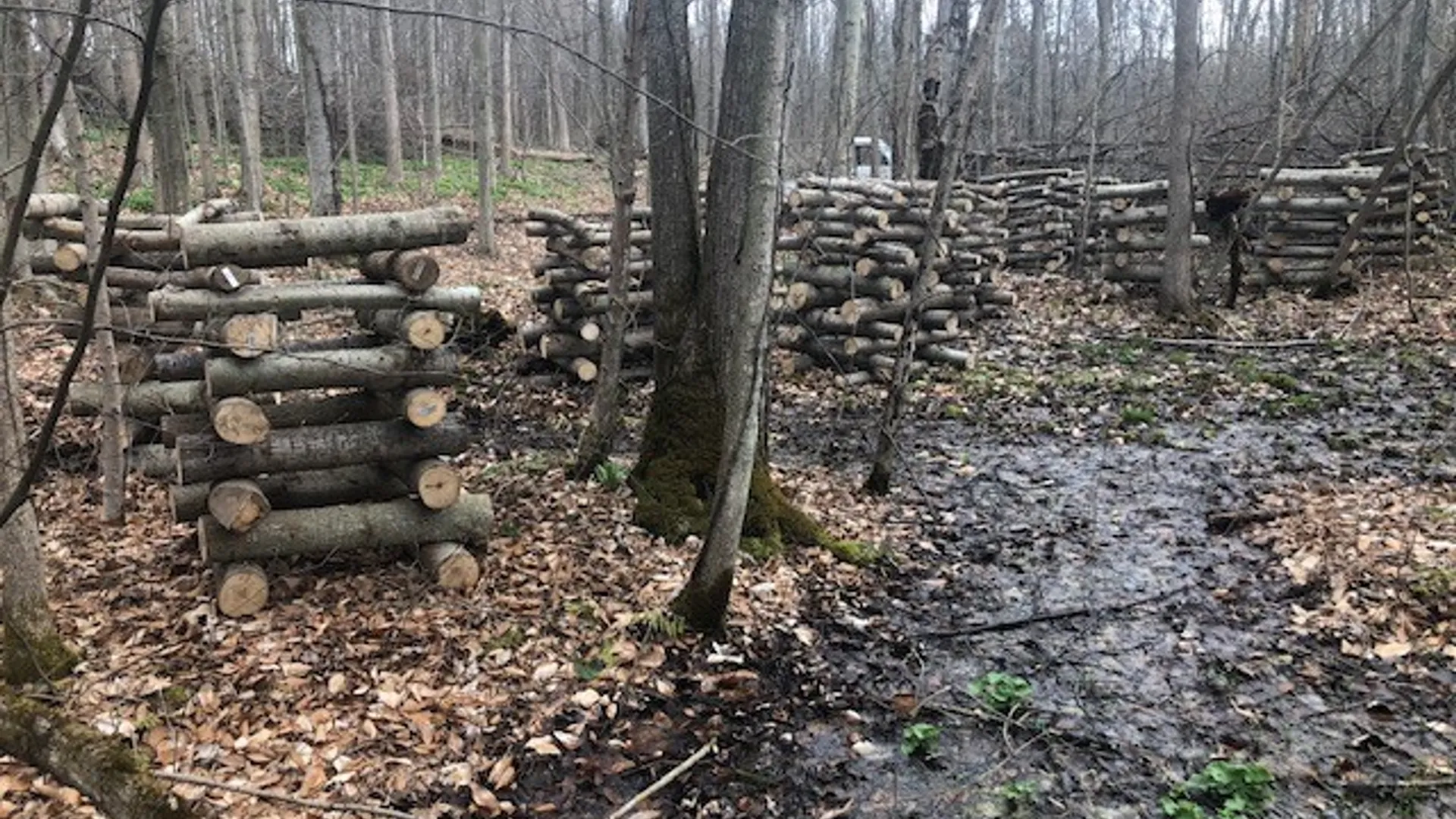 Property at 0 Norris & Rt 104 Road, Huron, NY 14590 23