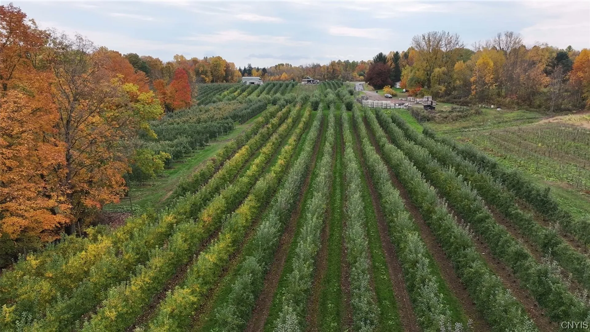 Property at 0 Norris & Rt 104 Road, Huron, NY 14590 34