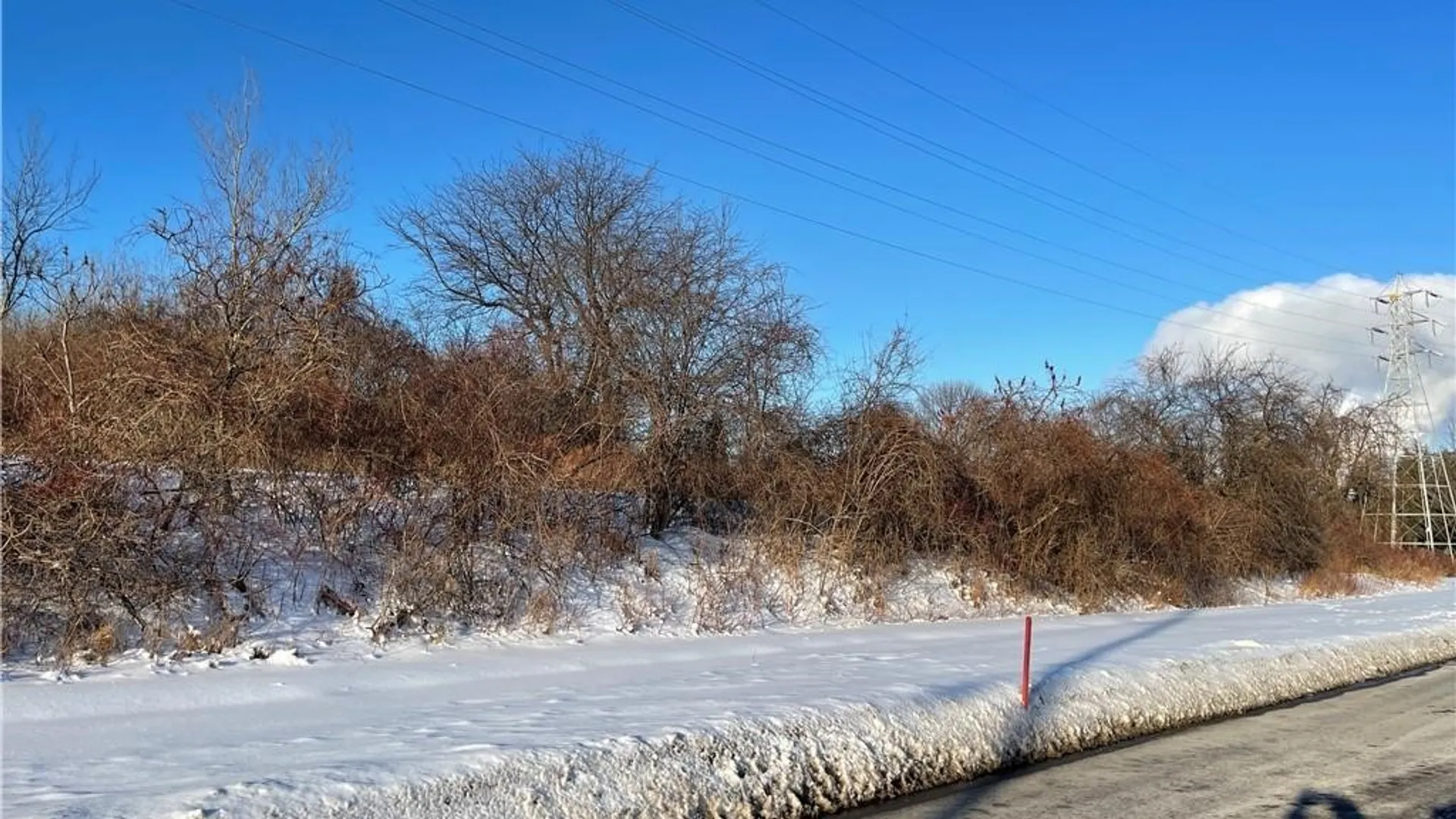 Property at 101 Mitchell Street, Oswego, NY 13126 12