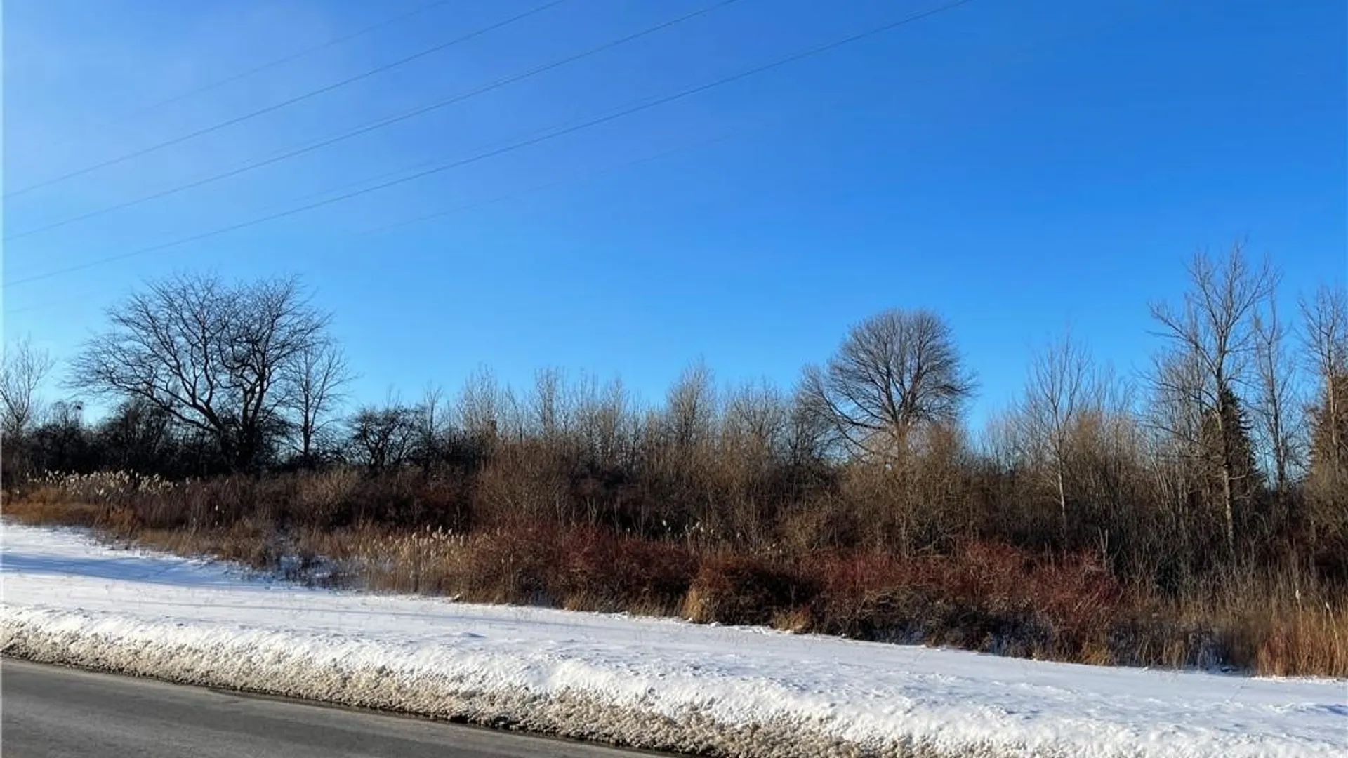 Property at 101 Mitchell Street, Oswego, NY 13126 5