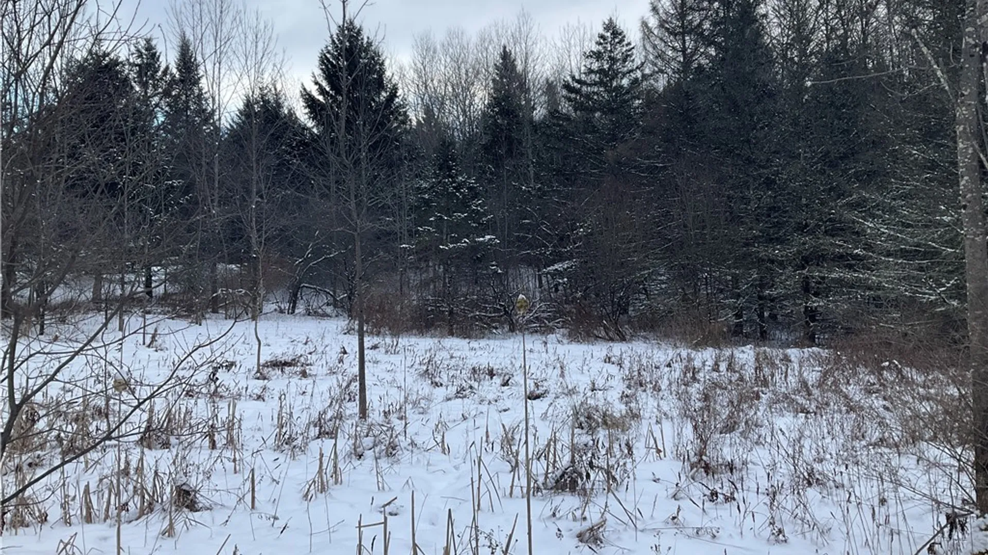 Property at 00 Curncross Road, Smyrna, NY 13464 10