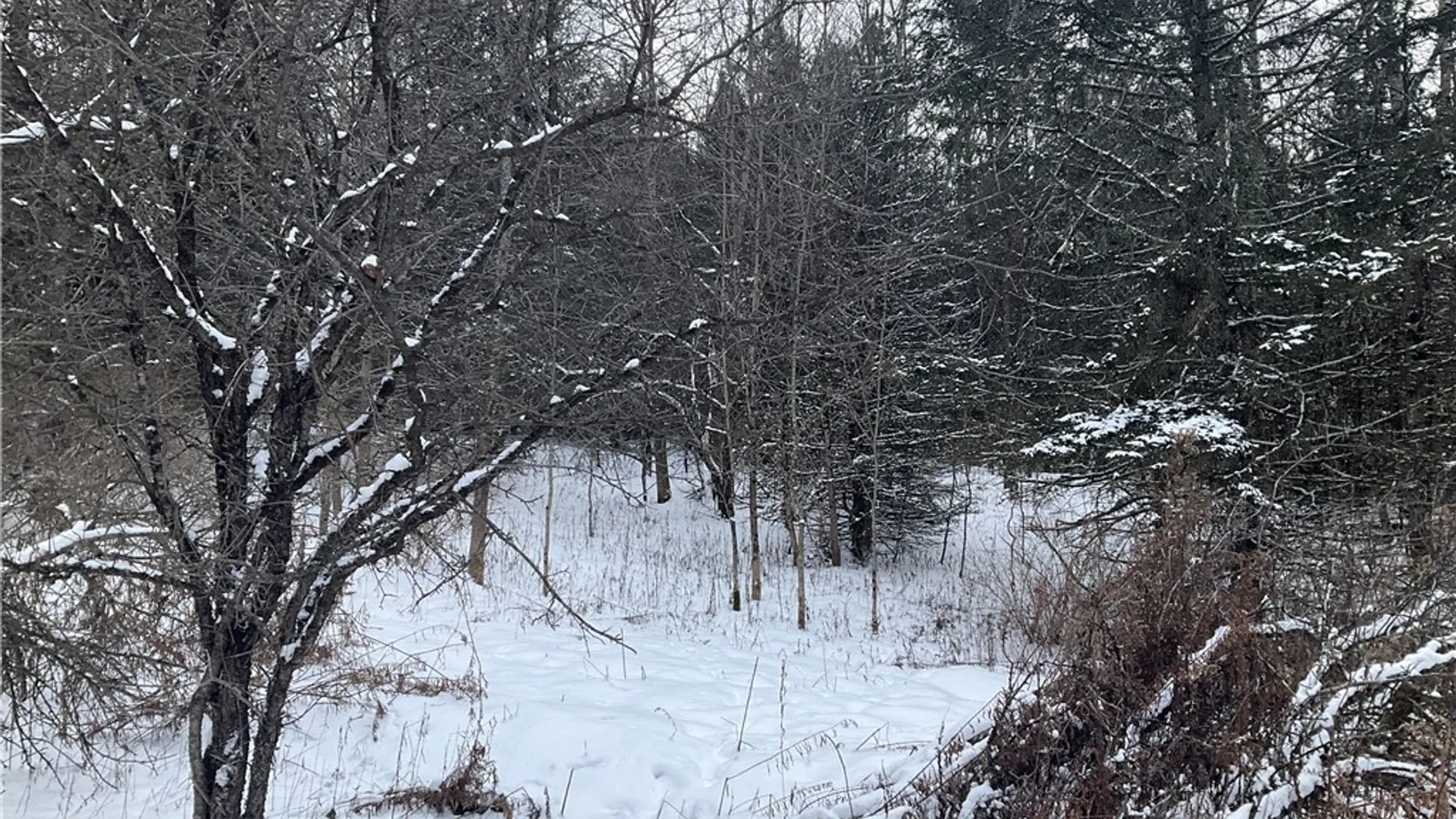 Property at 00 Curncross Road, Smyrna, NY 13464 11