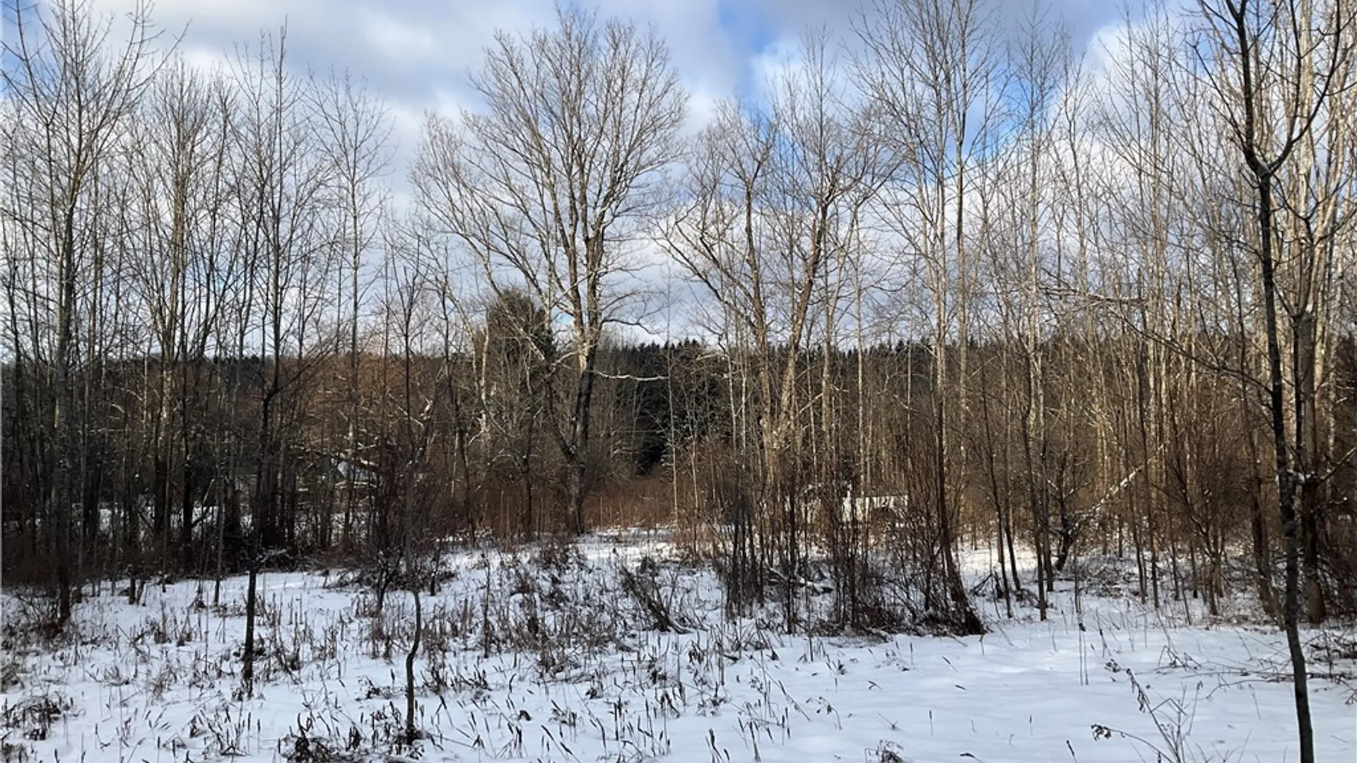 Property at 00 Curncross Road, Smyrna, NY 13464 15