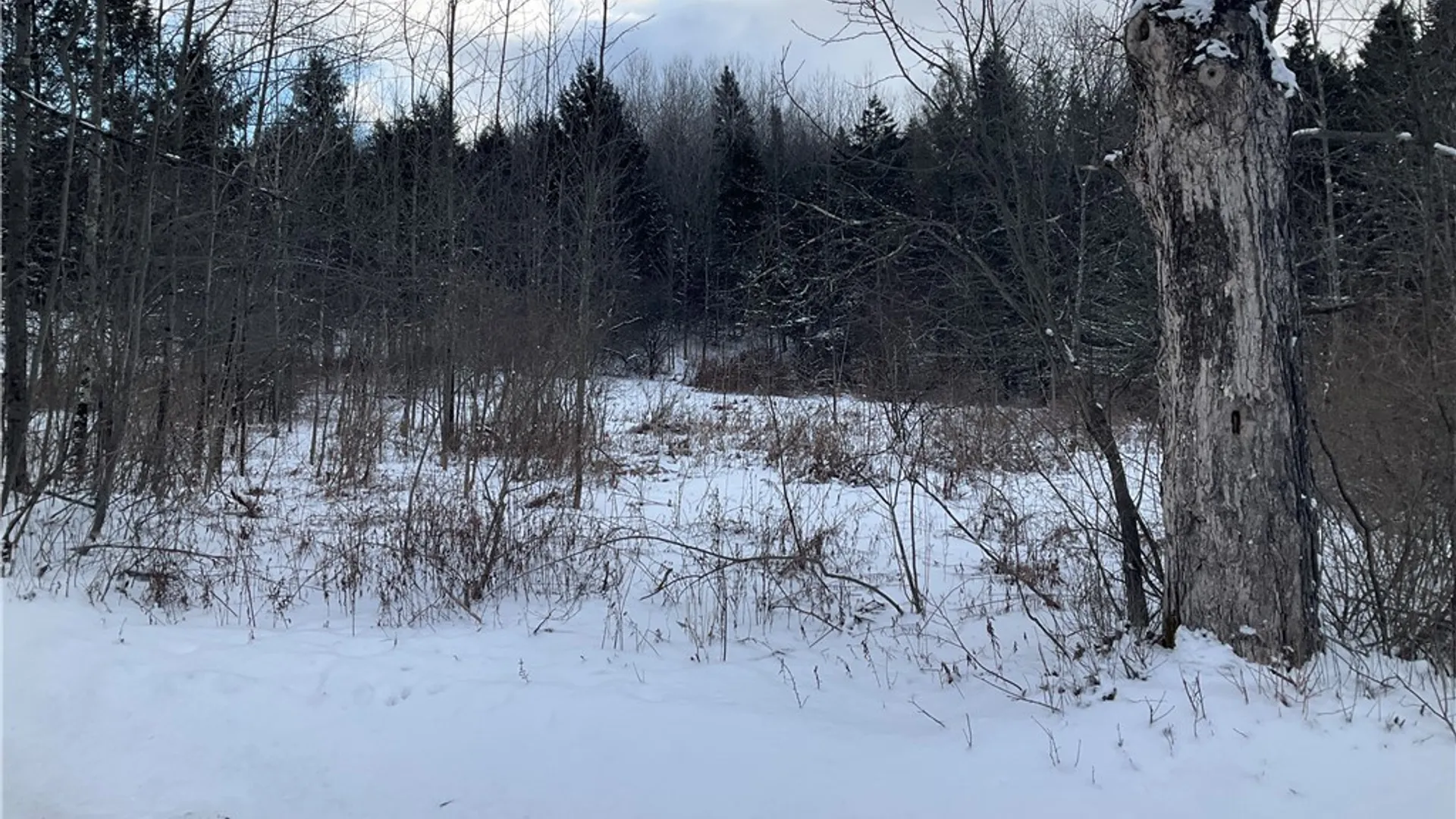 Property at 00 Curncross Road, Smyrna, NY 13464 2