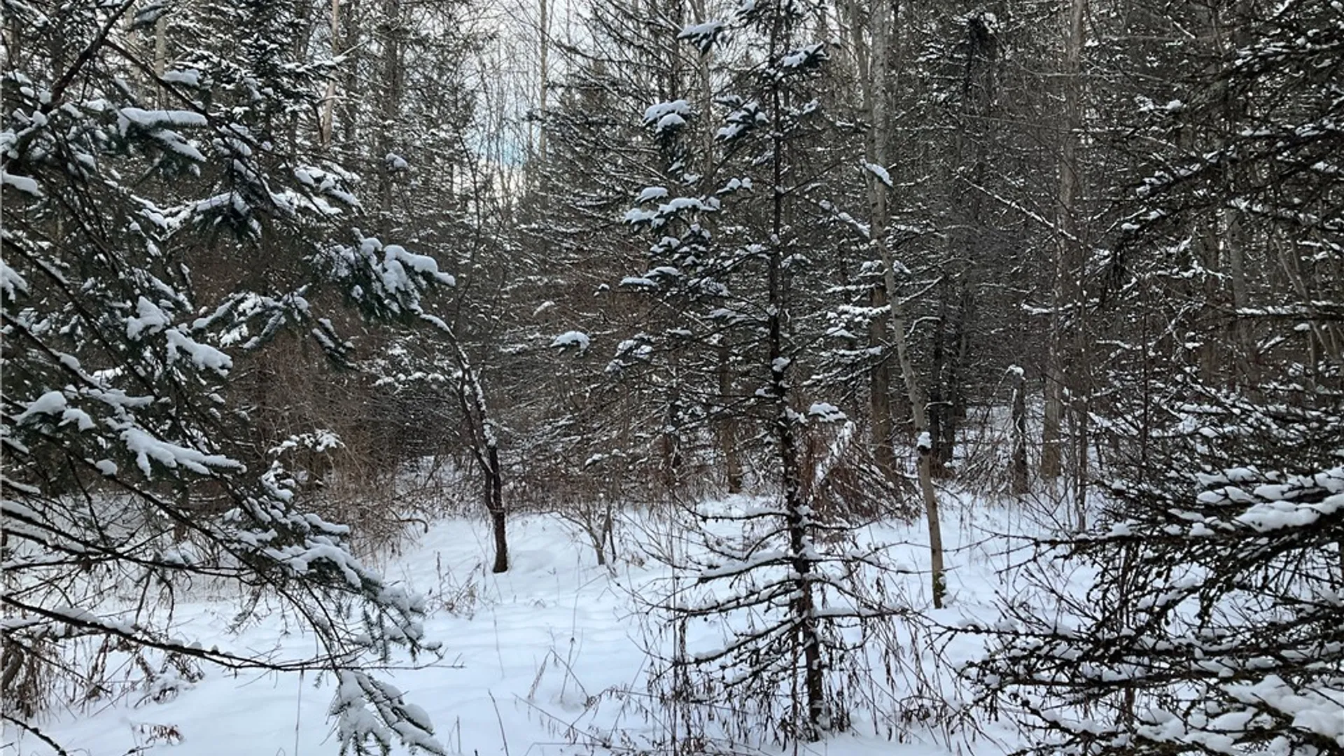 Property at 00 Curncross Road, Smyrna, NY 13464 6