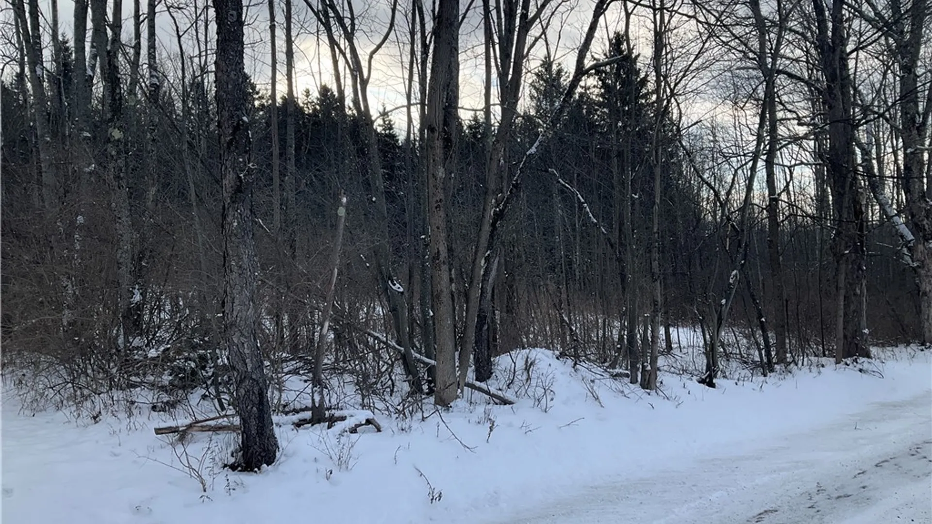 Property at 00 Curncross Road, Smyrna, NY 13464 8