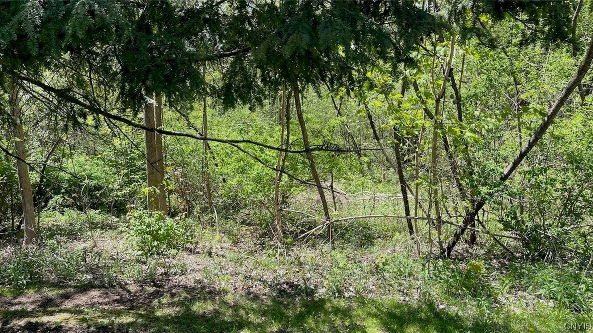 Property at 8245 Willett Parkway, Lysander, NY 13027 9