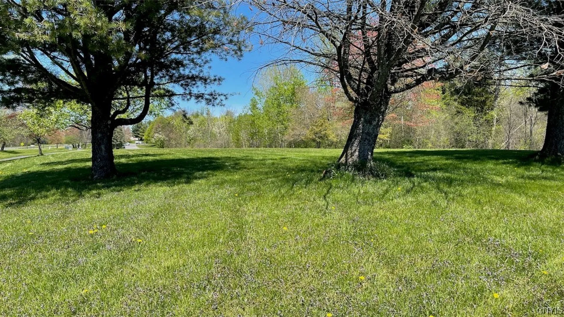 Property at 8274 Willett Parkway, Lysander, NY 13027 6