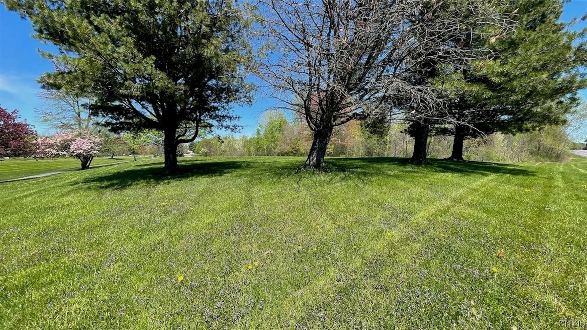 Property at 8274 Willett Parkway, Lysander, NY 13027 7