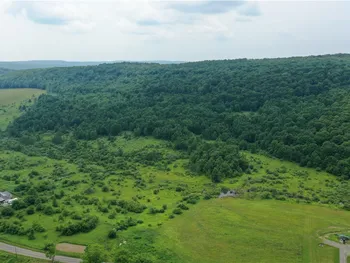 Property at Lot# 01 Pease Hill Road, Cuyler, NY 13158