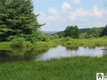 Property at 0A Morgan Hollow Road, Hinsdale, NY 14743