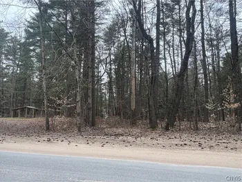 Property at 00 Partridgeville Road, Greig, NY 13312