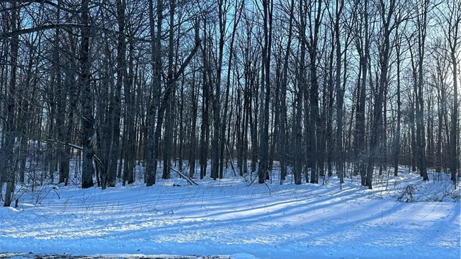 Property at 00 Mt Tom Road, Springfield, NY 13468 10