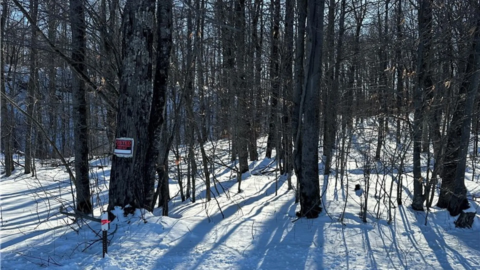 Property at 00 Mt Tom Road, Springfield, NY 13468 11