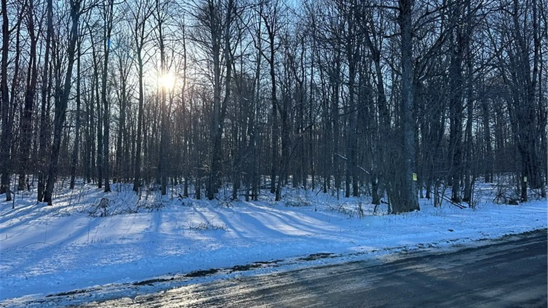 Property at 00 Mt Tom Road, Springfield, NY 13468 12