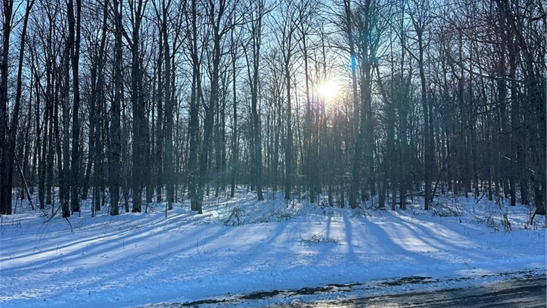 Property at 00 Mt Tom Road, Springfield, NY 13468 13