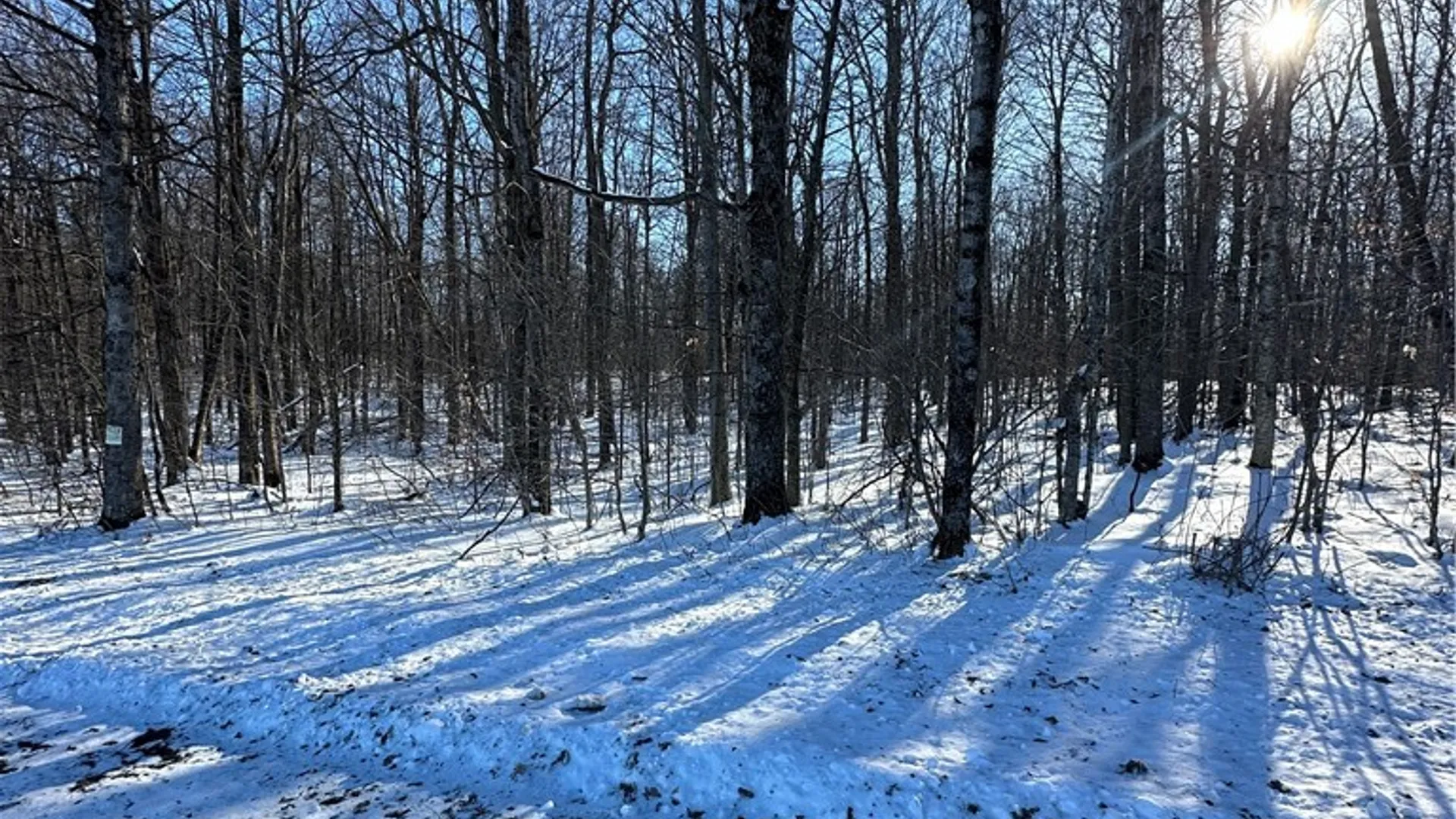 Property at 00 Mt Tom Road, Springfield, NY 13468 14