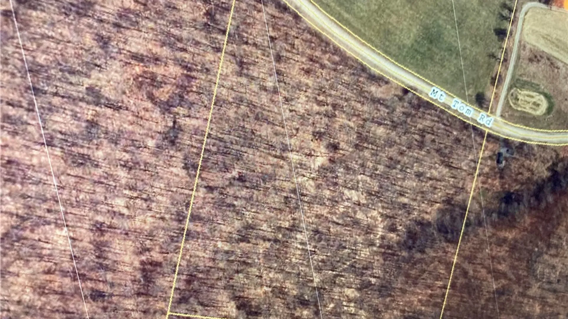 Property at 00 Mt Tom Road, Springfield, NY 13468 15