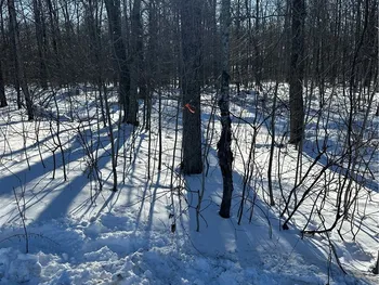 00 Mt Tom Road, Springfield, NY 13468