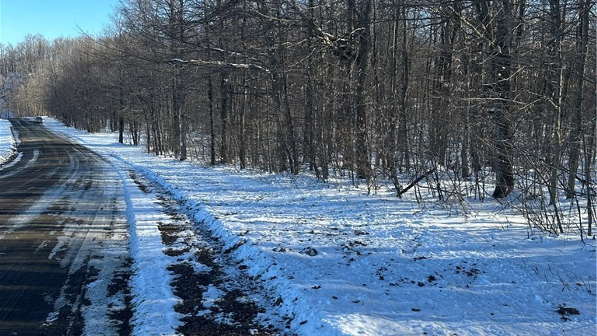 Property at 00 Mt Tom Road, Springfield, NY 13468 4