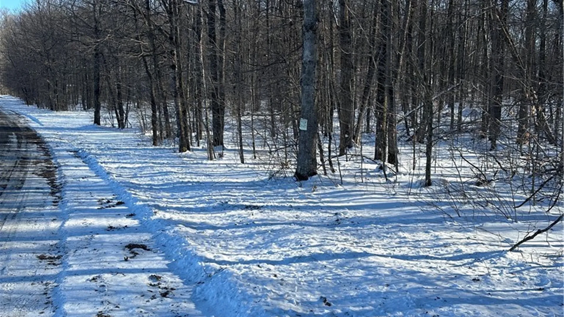 Property at 00 Mt Tom Road, Springfield, NY 13468 5