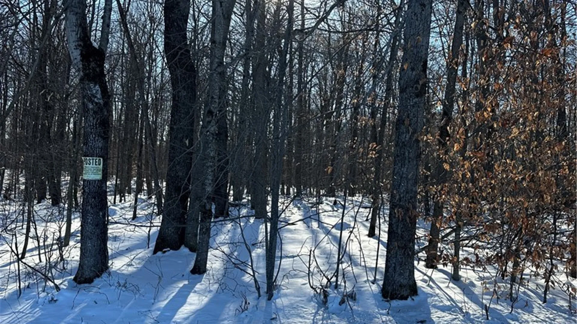 Property at 00 Mt Tom Road, Springfield, NY 13468 6