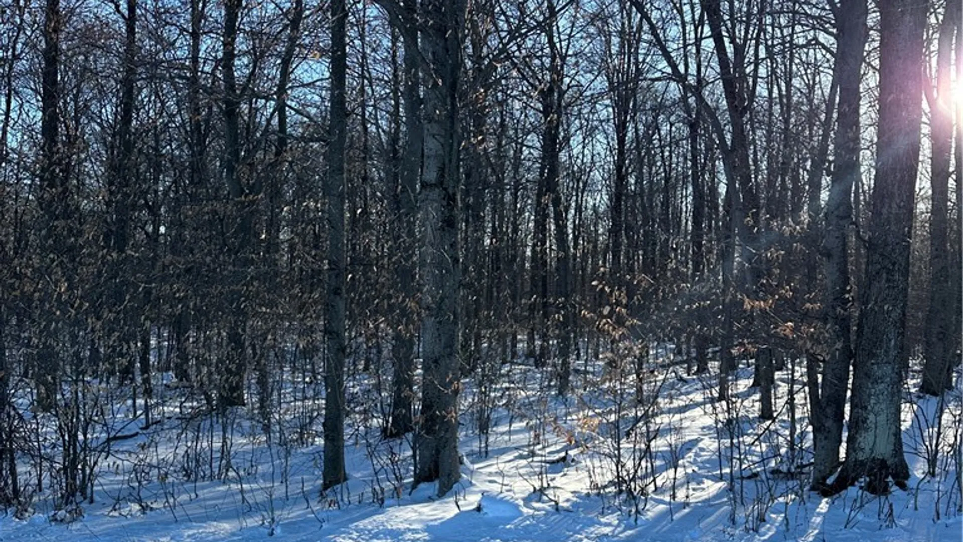 Property at 00 Mt Tom Road, Springfield, NY 13468 7