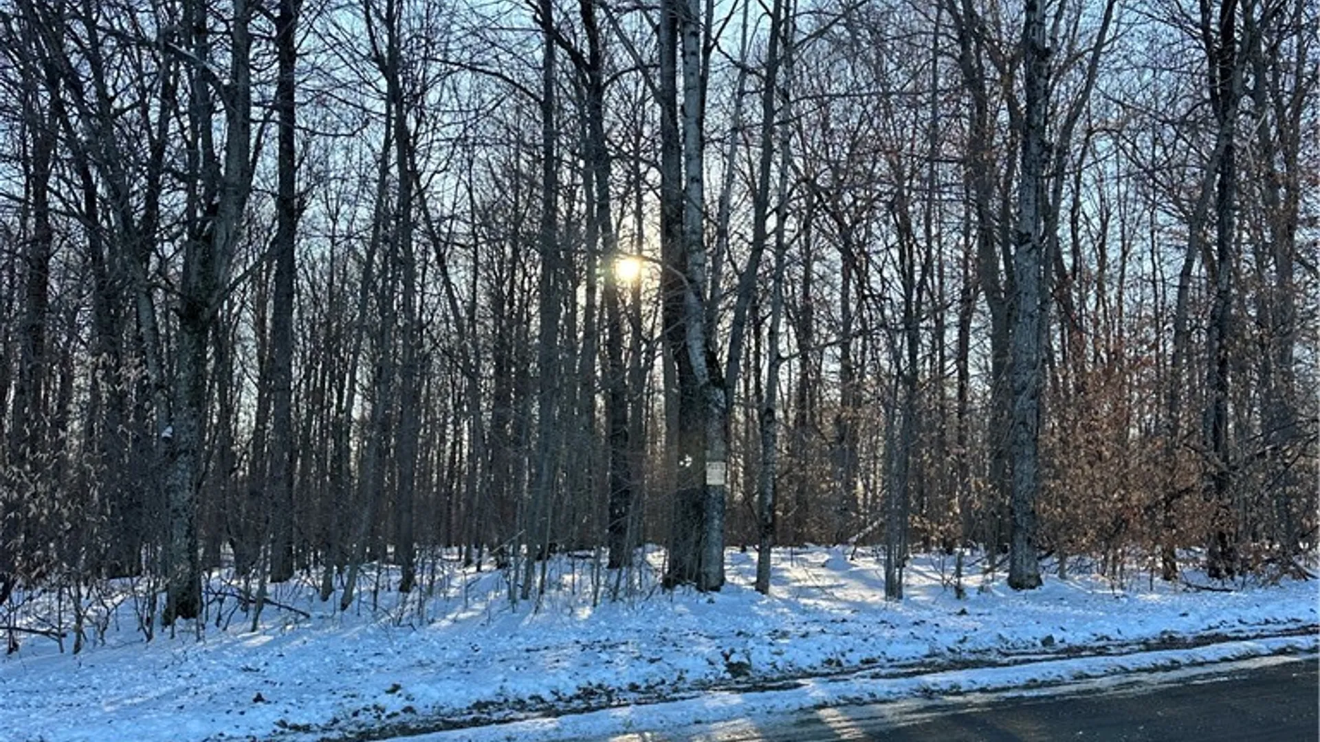 Property at 00 Mt Tom Road, Springfield, NY 13468 8