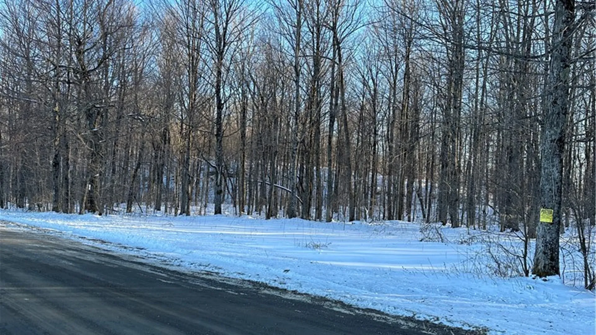 Property at 00 Mt Tom Road, Springfield, NY 13468 9