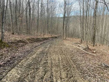 Property at 3356 Joe Mcmahon Road, Birdsall, NY 14709