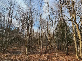 000 Jess Drive, Redfield, NY 13437