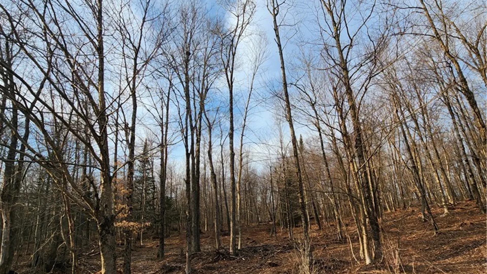 Property at 0000 Jess Drive, Redfield, NY 13437 3