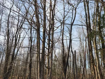 Property at 00000 Jess Drive, Redfield, NY 13437